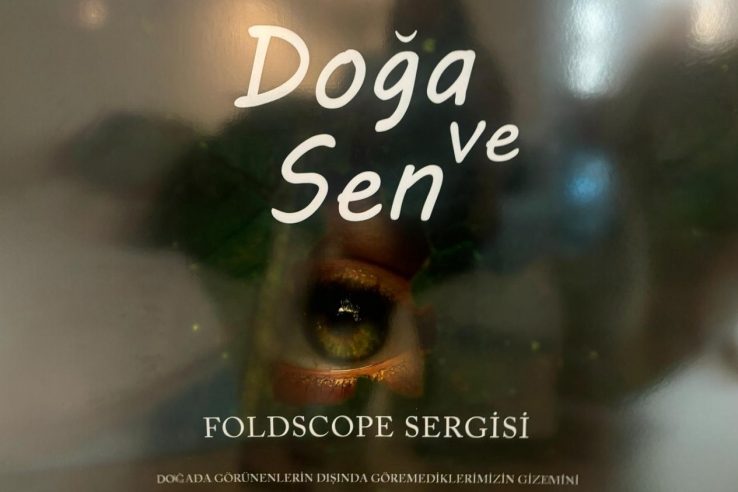 WhatsApp Image 2024-08-27 at 22.13.32